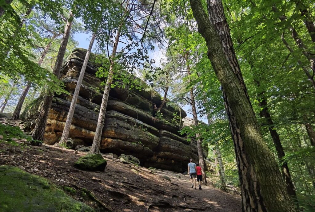 Wir sind gleich da beim Felsenlabyrinth Sächsische Schweiz - so mächtig sind die Felsen hier, um ein Vielfaches höher als wir Menschen