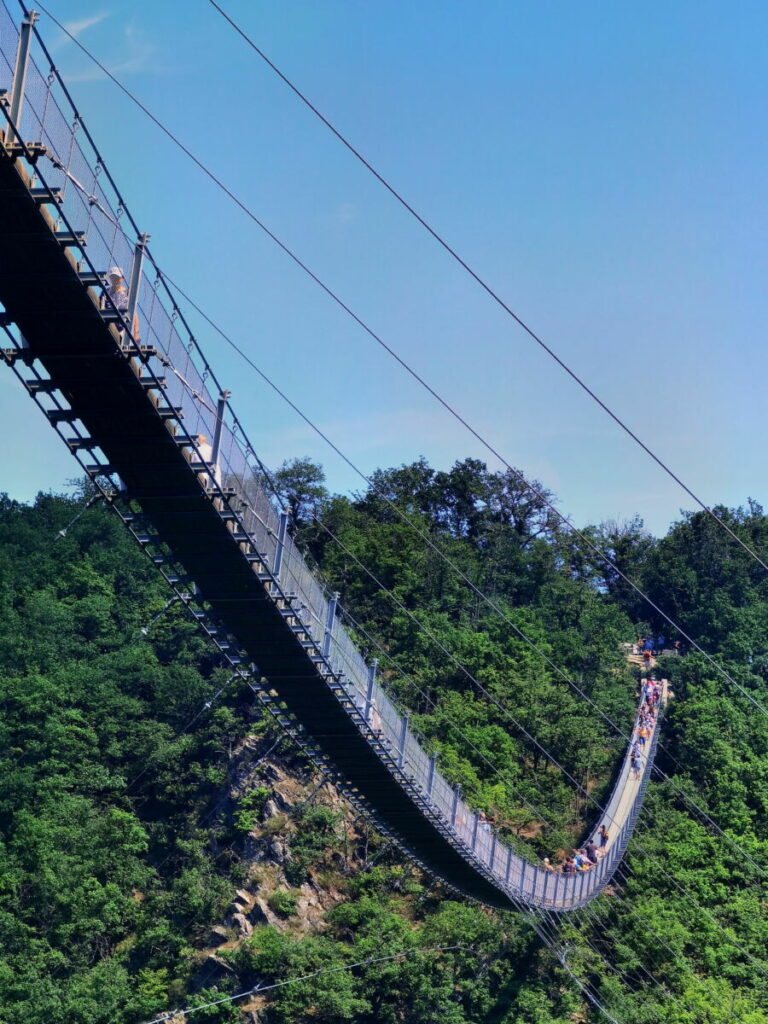 Die Geierlay Hängeseilbrücke überspannt die waldreiche Schlucht