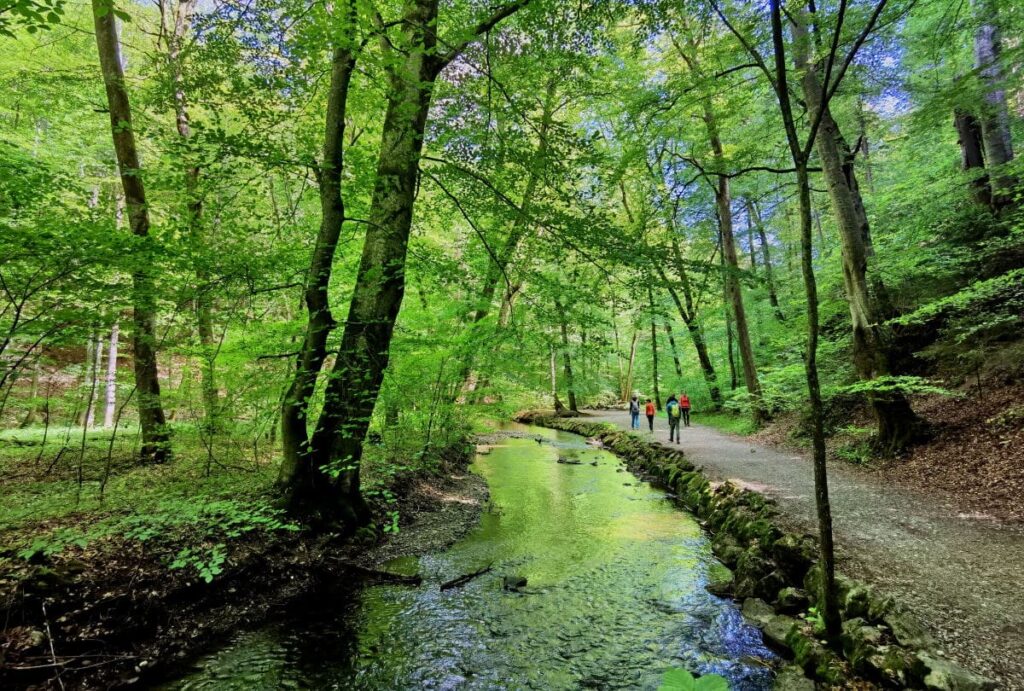 wildromantische Klammen, Schluchten und Wasserfälle - das ist die Maisinger Schlucht