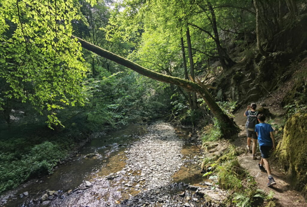 Baybachklamm im Hunsrück