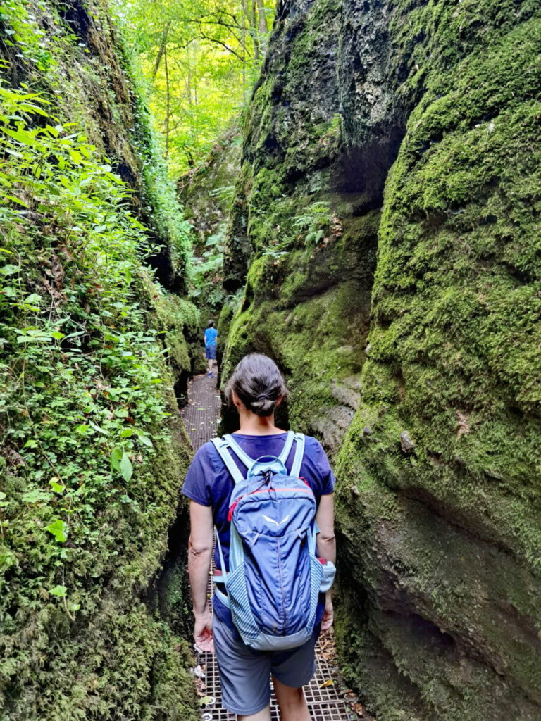 Die Drachenschlucht Eisenach ist eine grüne Klamm