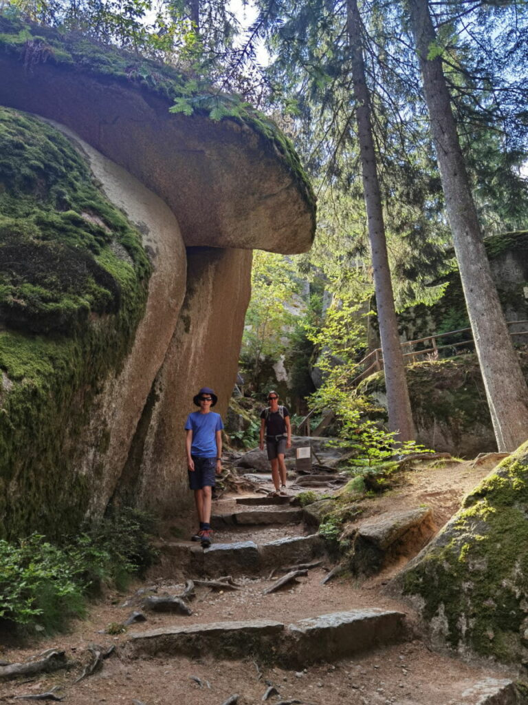Das Felsenlabyrinth Wunsiedel ist ein mystischer Wald mit vielen großen Felsblöcken
