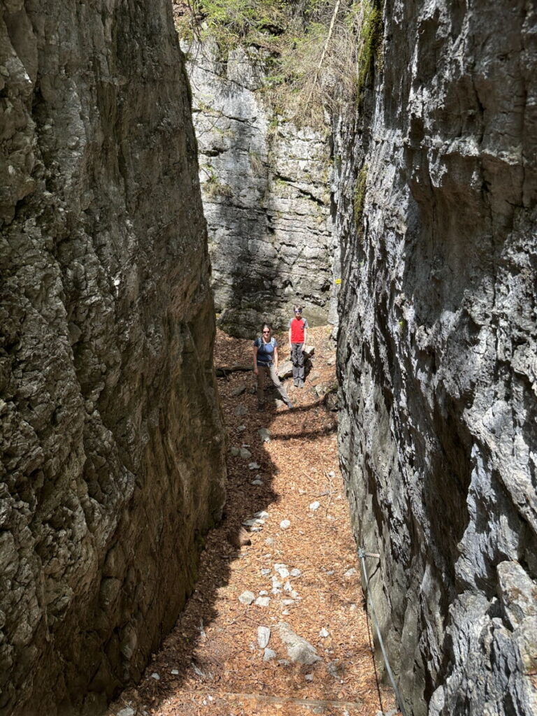 Meterhohe Felswände im Felsenlabyrinth