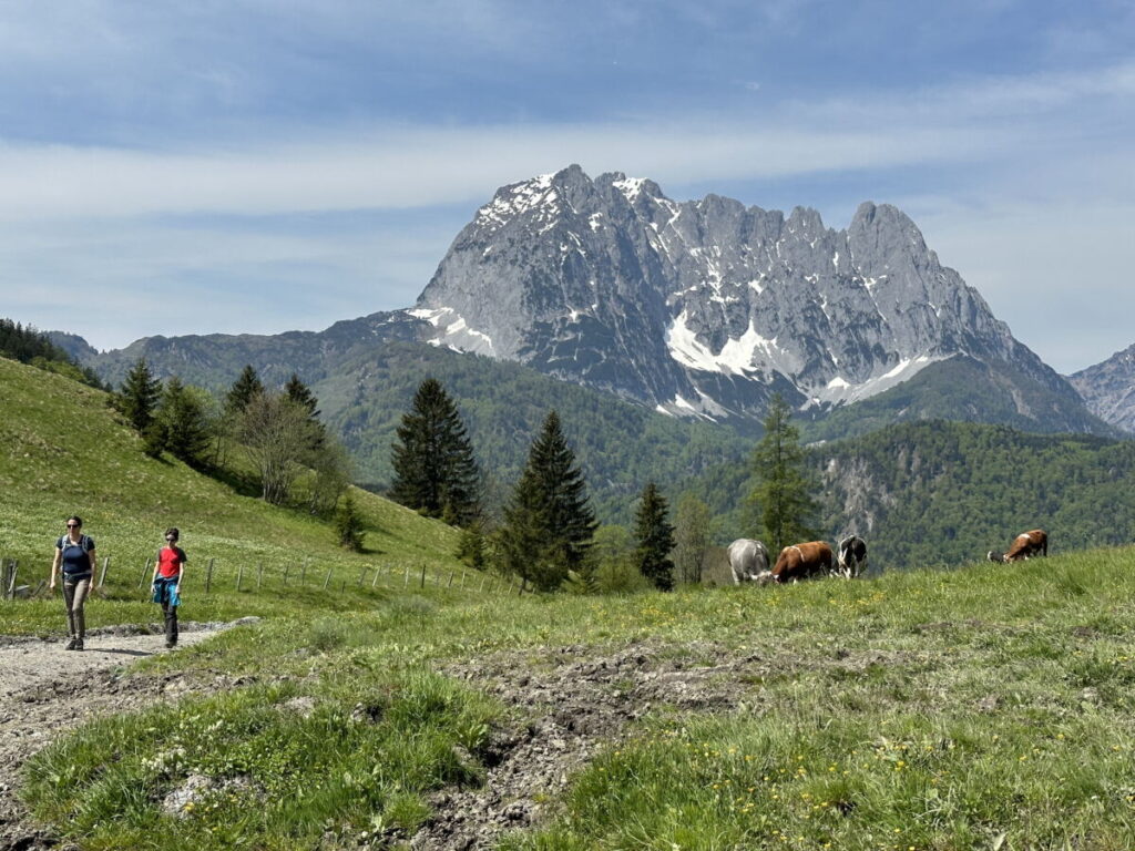 Mit traumhaften Blick auf den Wilden Kaiser Richtung Teufelsgasse wandern