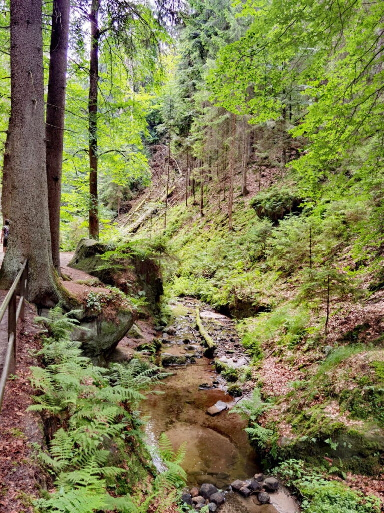 Schwedenlöcher Wanderung