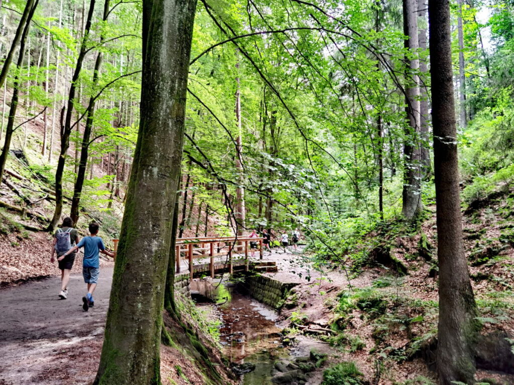 Die Schwedenlöcher Wanderung führt durch den Amselgrund